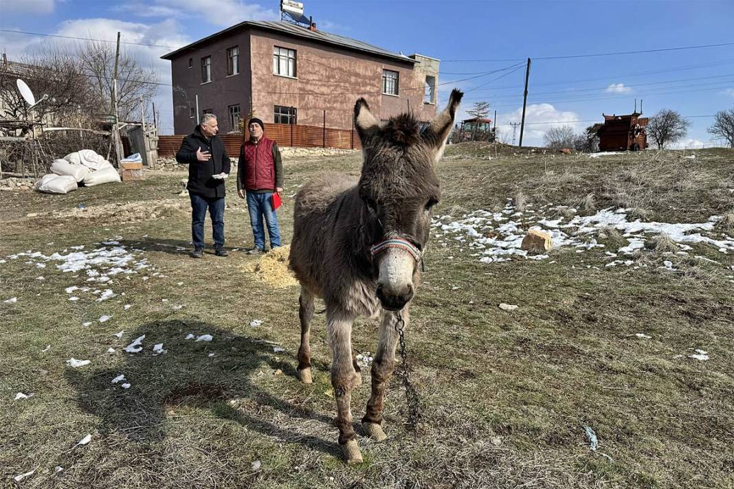 Hikayesi duyulunca Türkiye'nin her yerinden destek yağdı! 72 yaşında, 21 yıldır usanmıyor bıkmıyor 6